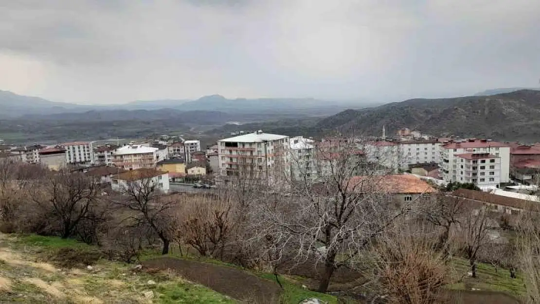 Kulp'ta yağmur çiftçinin yüzünü güldürdü