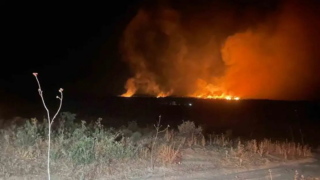 Lice'de gece başlayan orman yangını söndürüldü