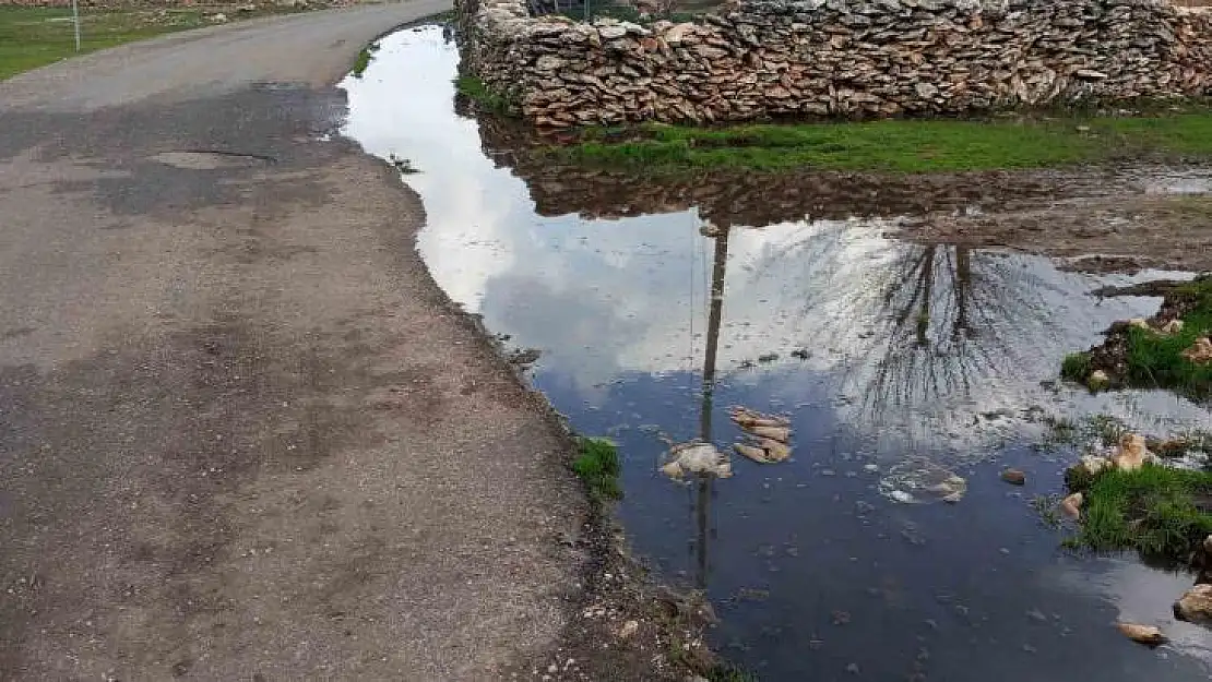 Mahalle sakinleri eksikliklerinin giderilmesini bekliyor