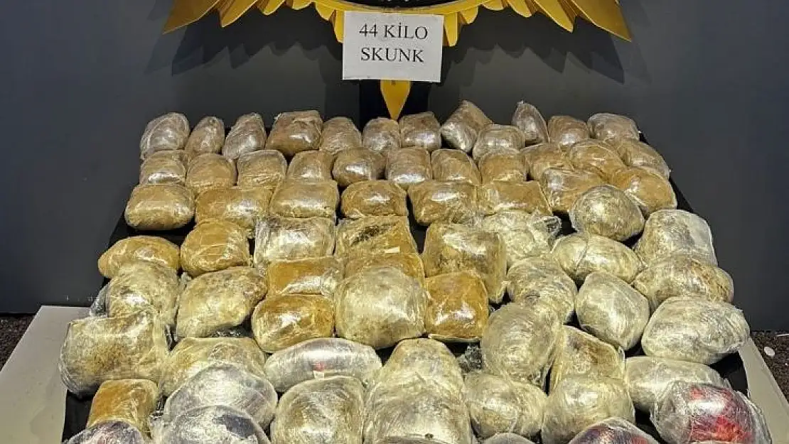 Malatya'da 44 kilogram skunk ele geçirildi