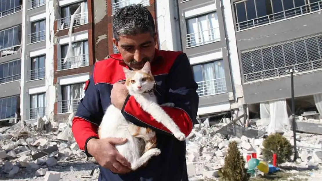 Malatya'da ağır hasarlı binada mahsur kalan kedi kurtarıldı