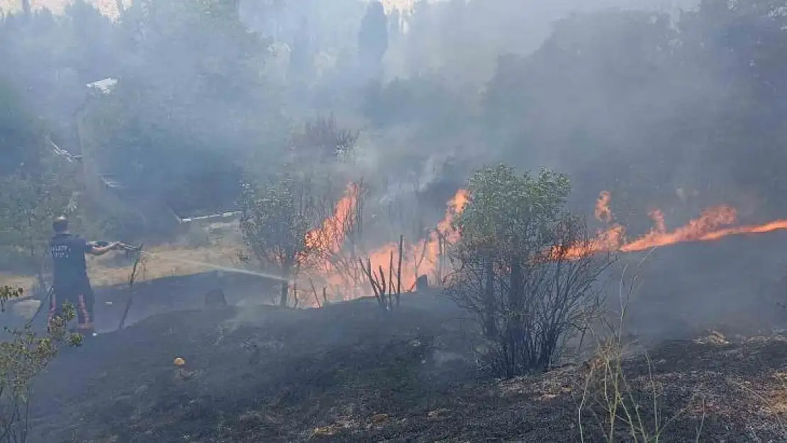 Malatya'da bahçelik alanda korkutan yangın