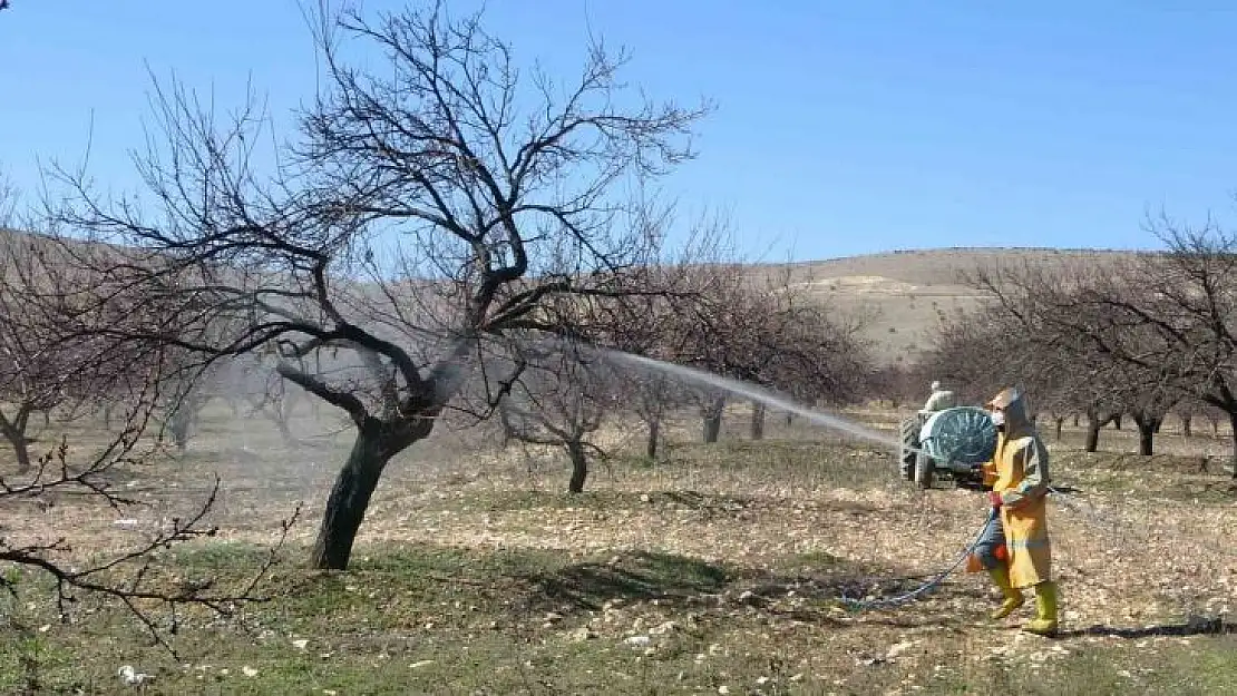 Malatya'da erken tomurcuklanan kayısı ağaçları endişelendirdi