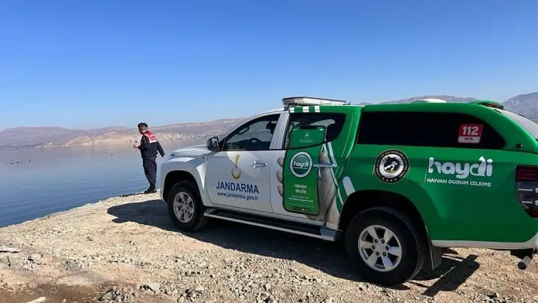 Malatya'da jandarma yabani kuşlar için doğaya yem bıraktı