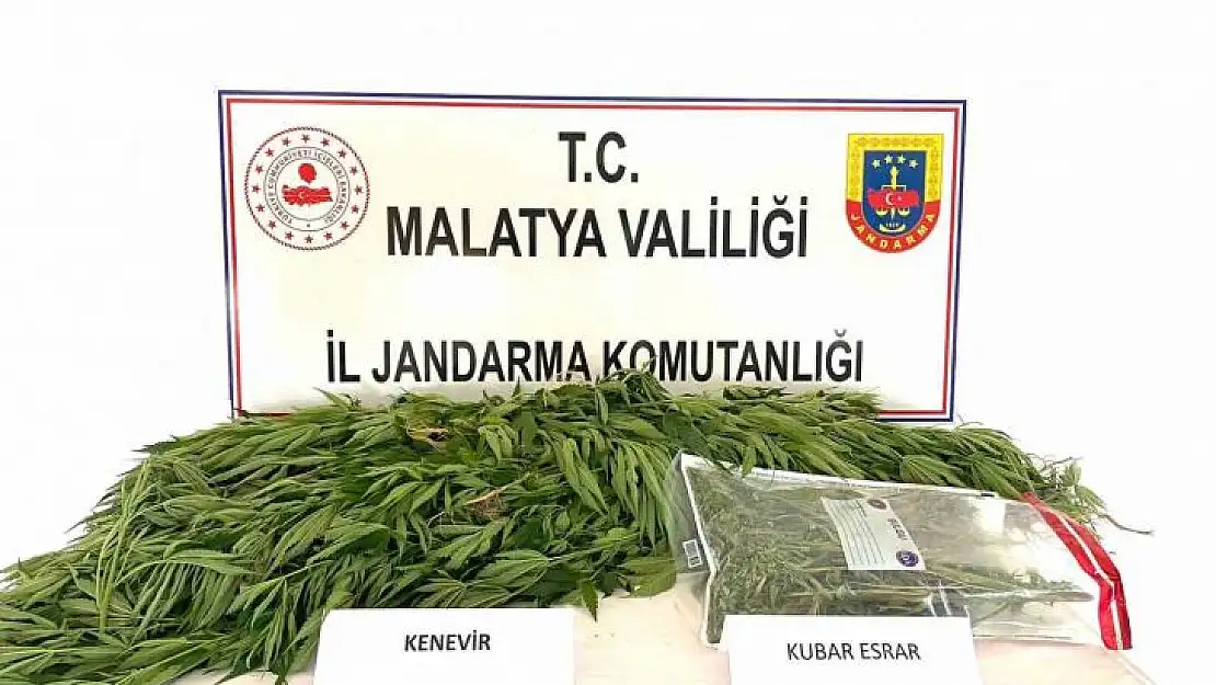 Malatya'da Jandarmadan uyuşturucu operasyonu