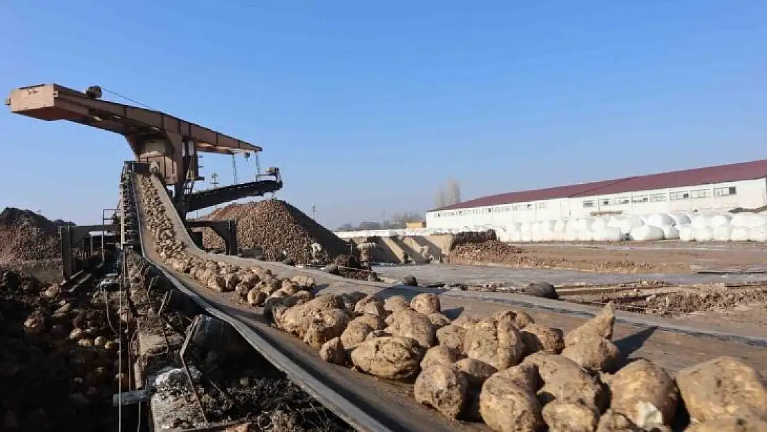 Malatya Şeker Fabrikası'nda bu yıl hedef 65 bin ton şeker üretimi