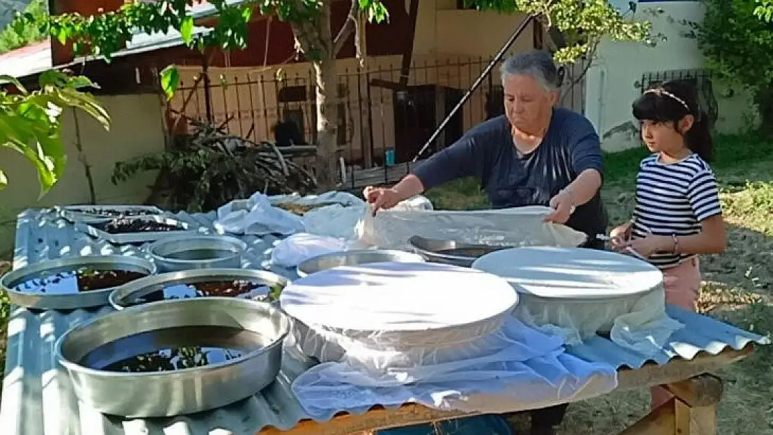 Sakin şehir Arapgir'de dut pekmezi geleneği sürdürülüyor