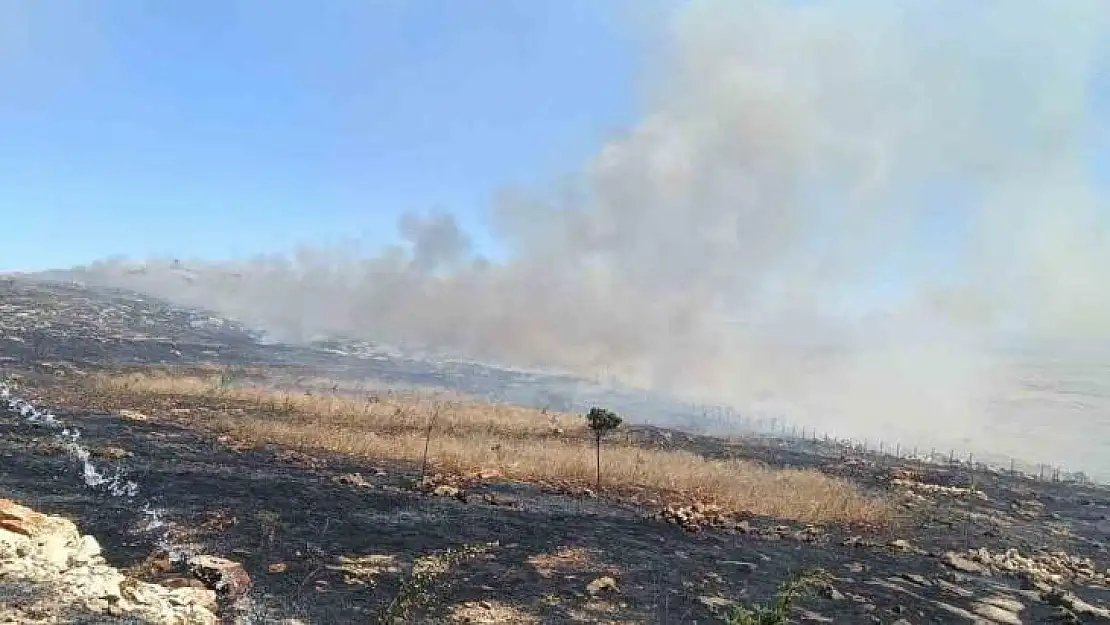 Silvan'da örtü yangını