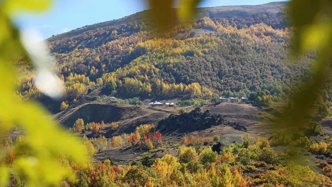 Sonbahar renklerine bürünen Tunceli'de doğa, görsel şölen sunuyor