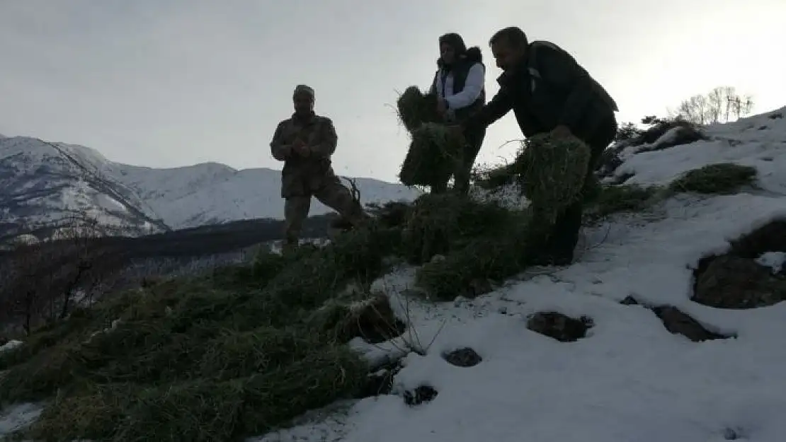 Tunceli'de  yaban hayvanları için doğaya yem bırakıldı