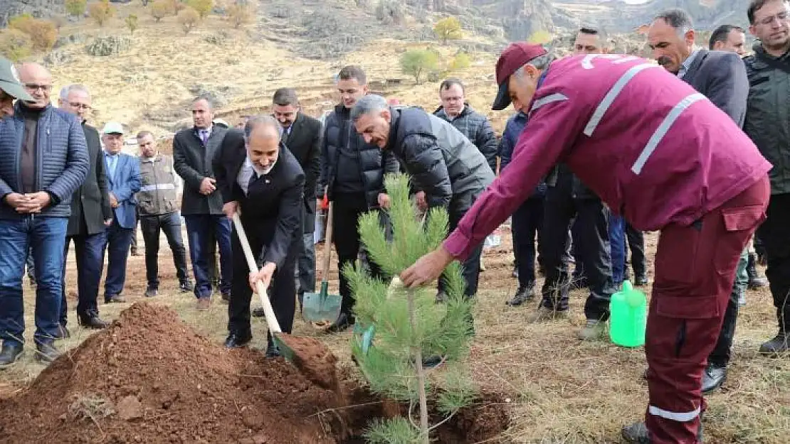 Tunceli'de 20 bin fidan toprakla buluşturuldu