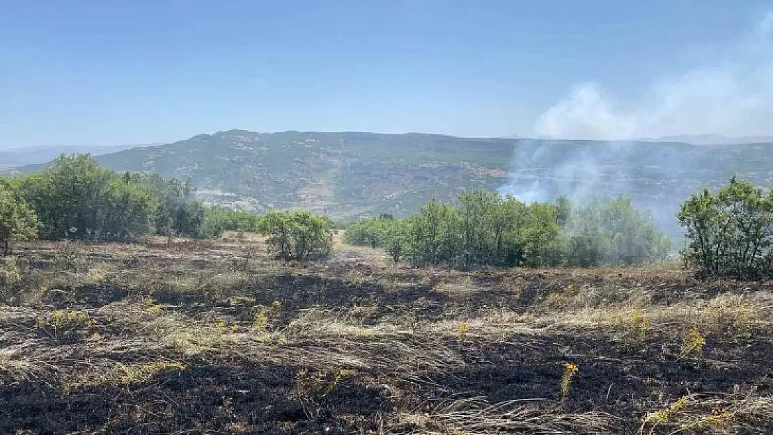 Tunceli'de 3 ayrı bölgede çıkan yangınlardan 2'si söndürüldü, 1'ine müdahale sürüyor