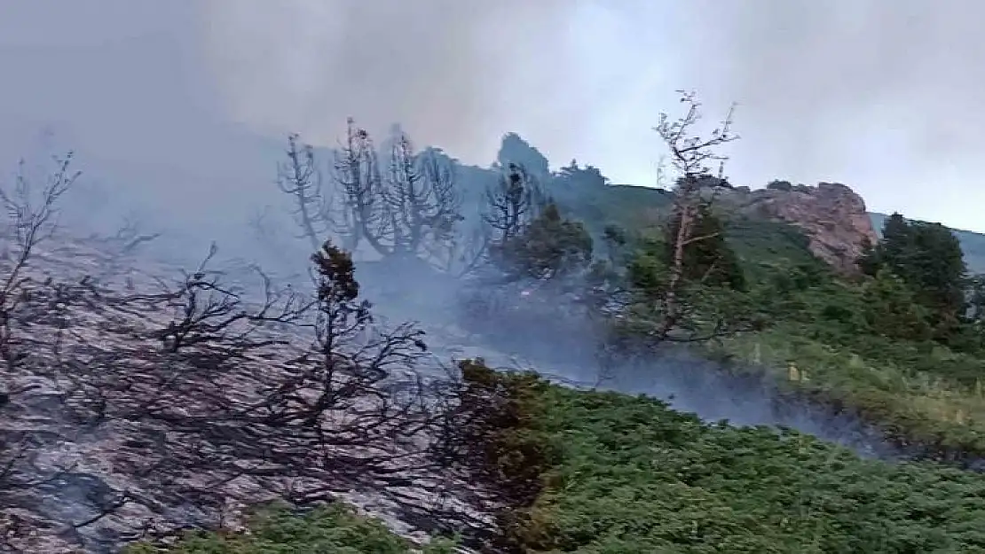 Tunceli'de ağaçlık alanda yangın