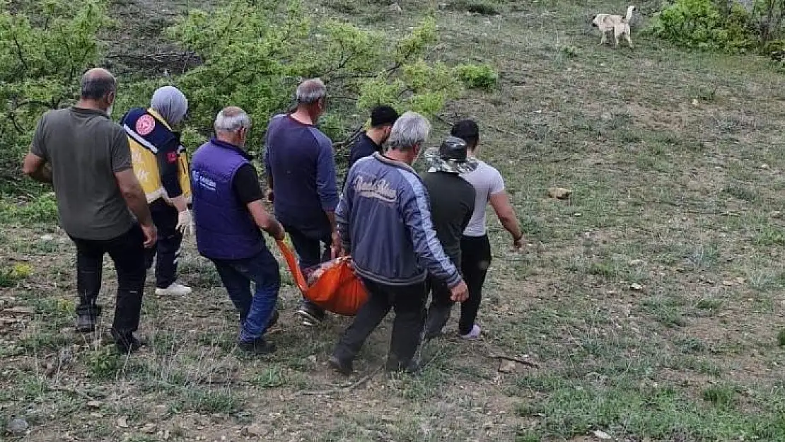 Tunceli'de ayının saldırısına uğrayan adam yaralandı