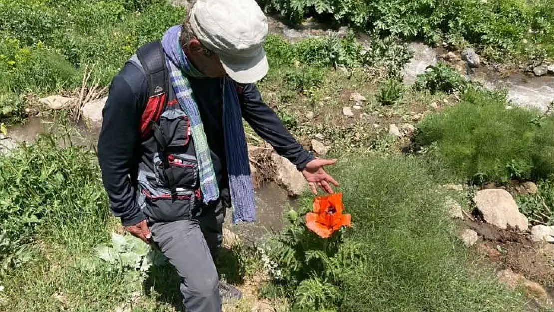 Tunceli'de bitki envanteri çıkarılıyor