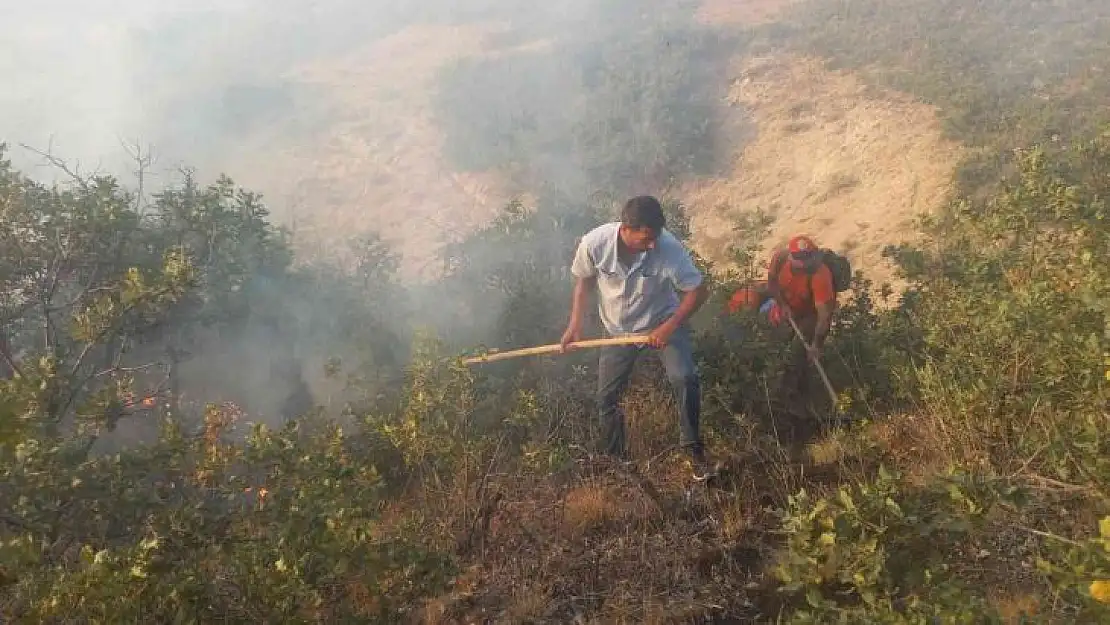 Tunceli'de çıkan örtü yangınına müdahale sürüyor