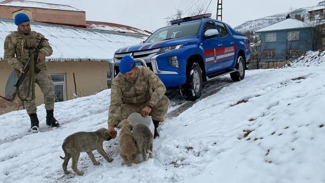 Tunceli'de jandarmadan yürekleri ısıtan davranış