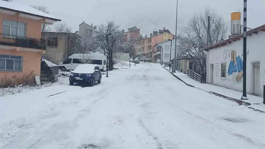 Tunceli'de kar yağışı etkili oldu, onlarca köy yolu ulaşıma kapandı