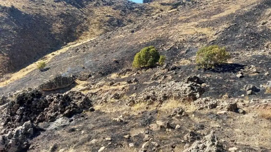 Tunceli'de otluk alandaki yangın kısa sürede söndürüldü