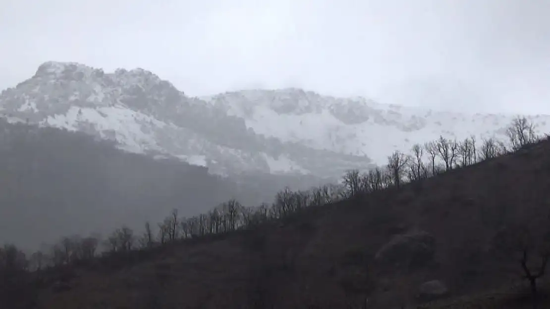 Tunceli'de yağışlar sürüyor