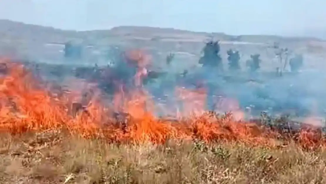 Tunceli'deki arazi yangını söndürüldü