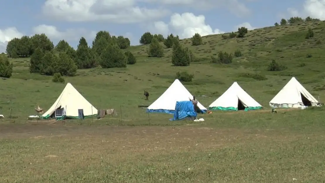 Tunceli Valiliği'nden sürü sahipleri ve arıcılara duyuru