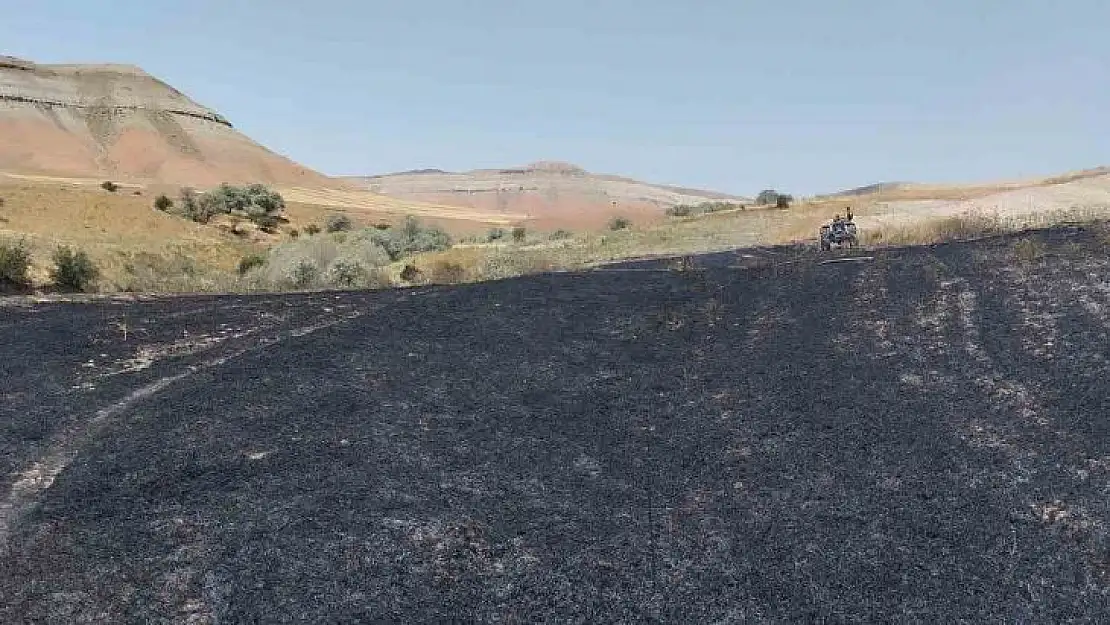 Yangın badem ve fıstık ağaçlarına zarar verdi