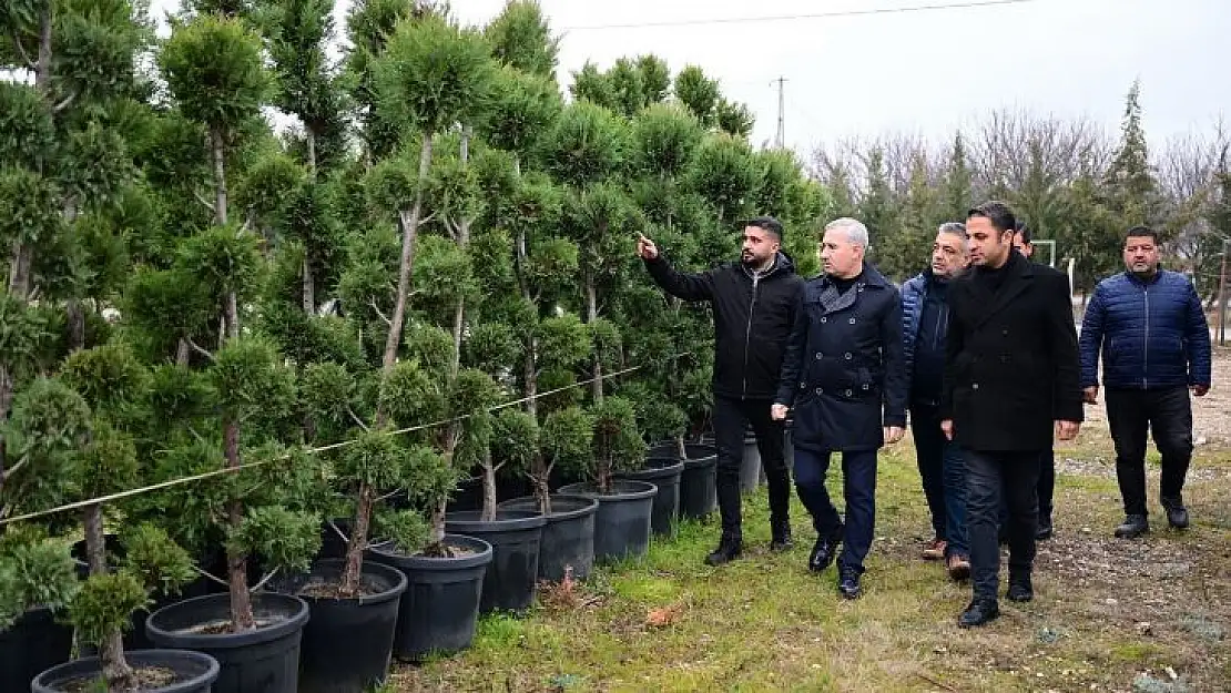 Yeşilyurt Belediyesi fidanlık alanı, Yeşilyurt'a nefes oluyor