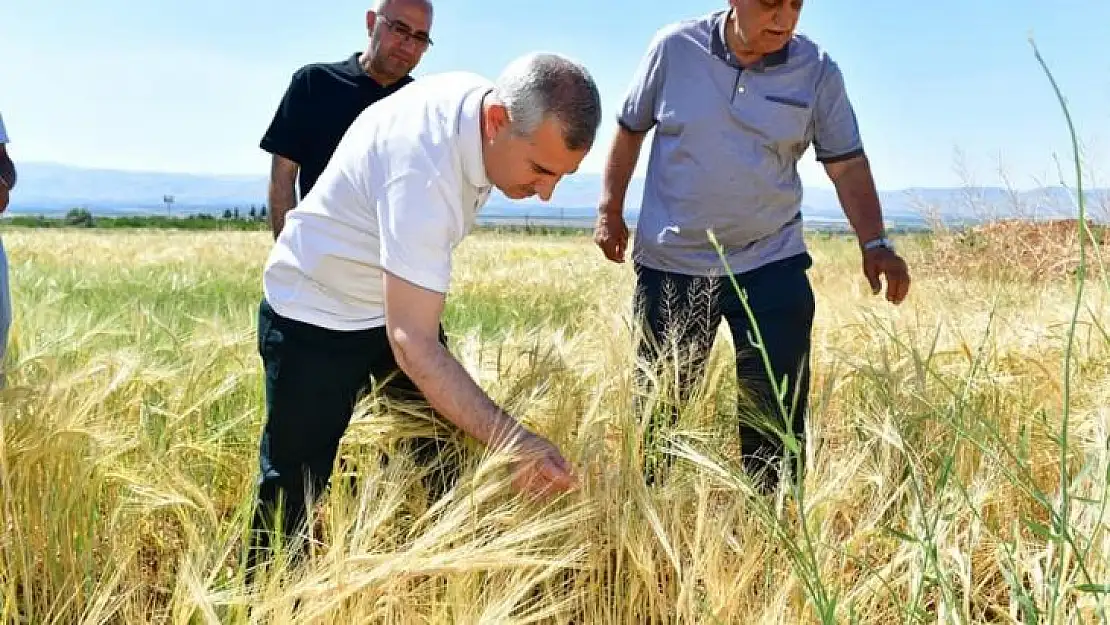 Yeşilyurt'ta tarımsal üretim hız kazandı