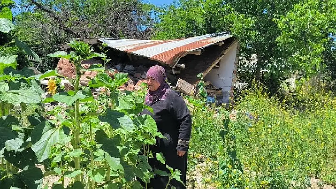 Yıkılan evlerinin enkazında yeşeren 'ayçiçekleri' ile nefes almaya çalışıyorlar