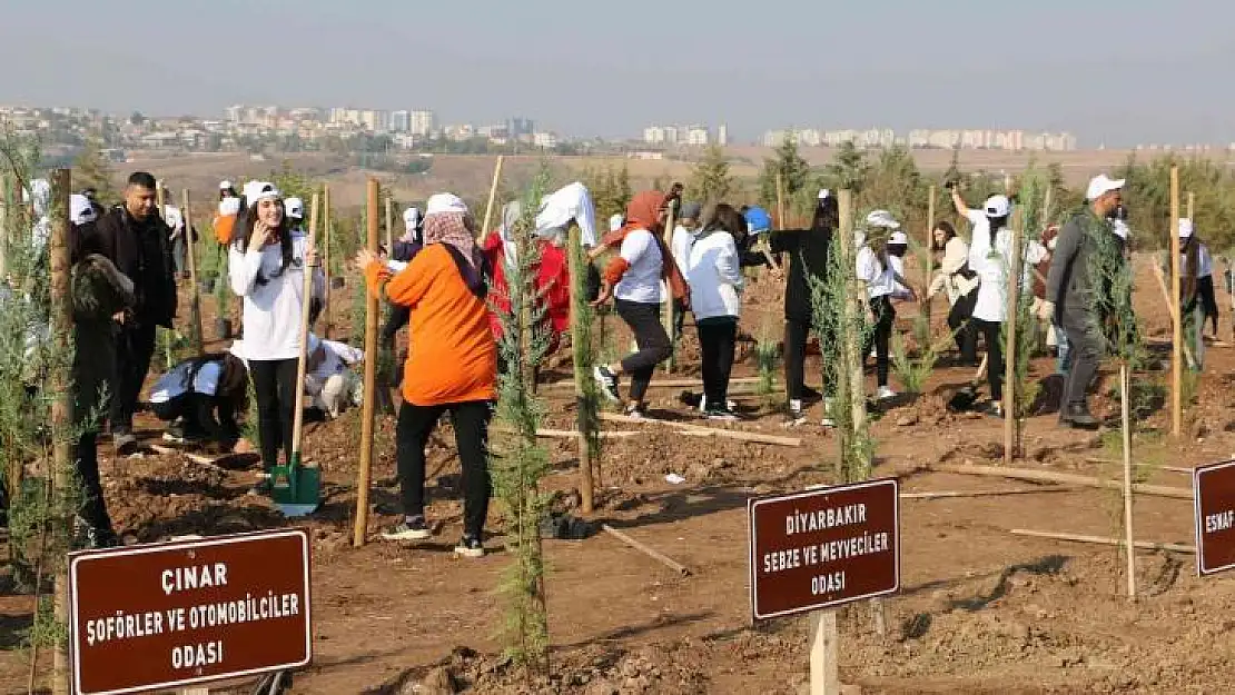 Yüzde 24'ü ormanlık olan Diyarbakır'a 4 bin yeni fidan