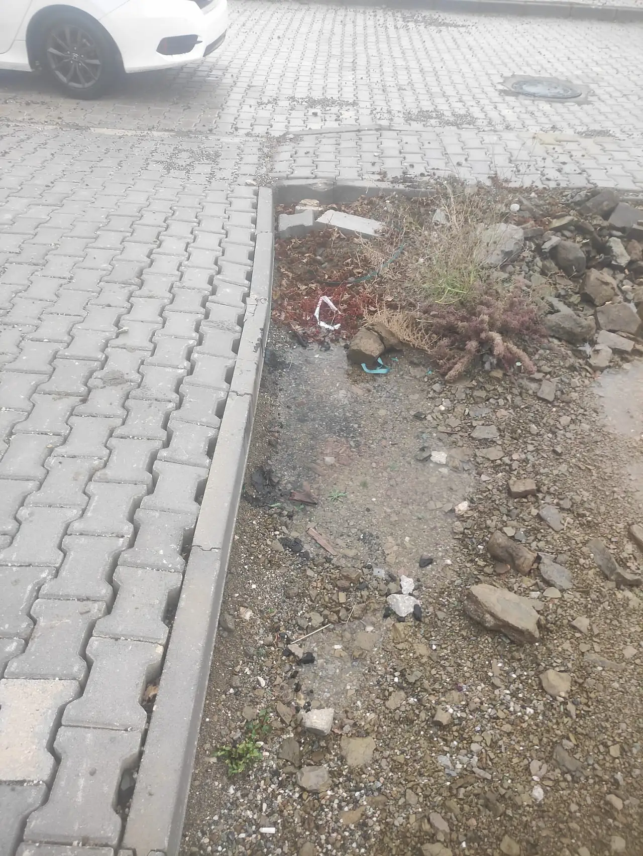 Arıcak'ta mağduriyetler bitmiyor: Deprem konutlarındaki arızalar aylardır yapılmıyor!