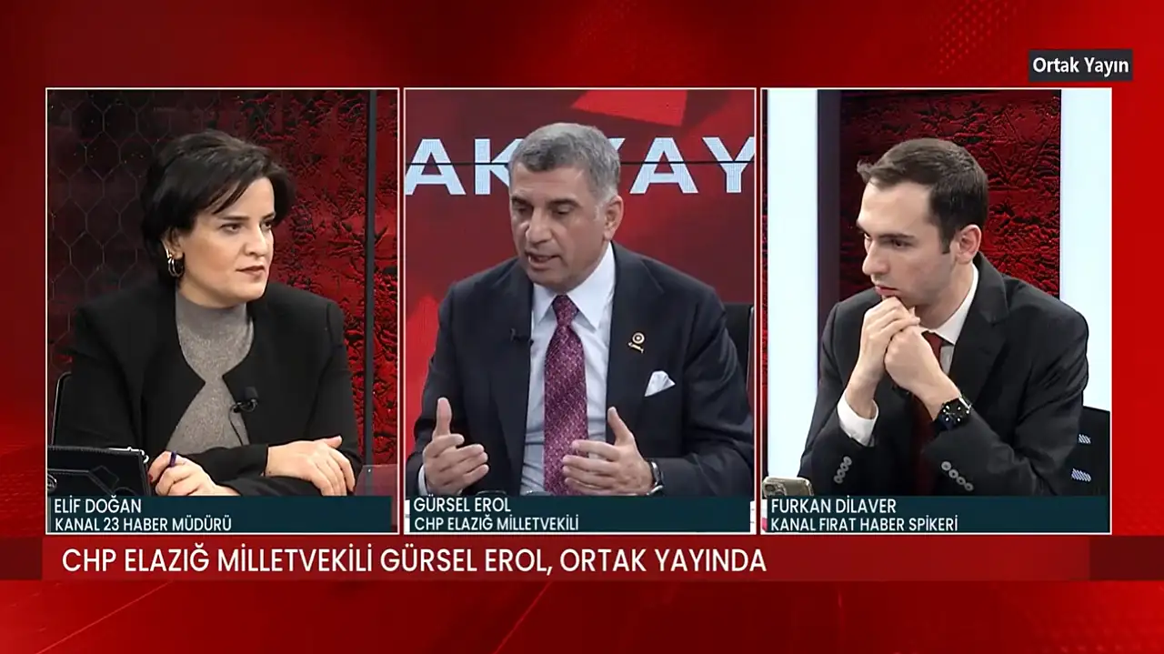 Gürsel Erol: 'Kimse kimseyi elinden tutup bir yere götürmez!'