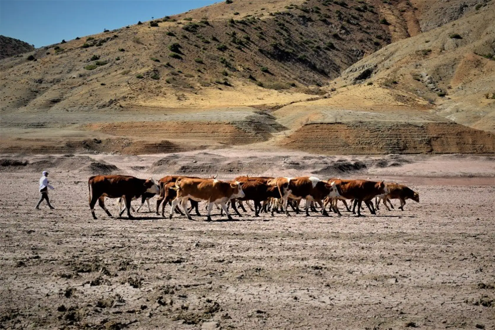Hamzabey Barajı'nın son hali adeta çölü andırdı