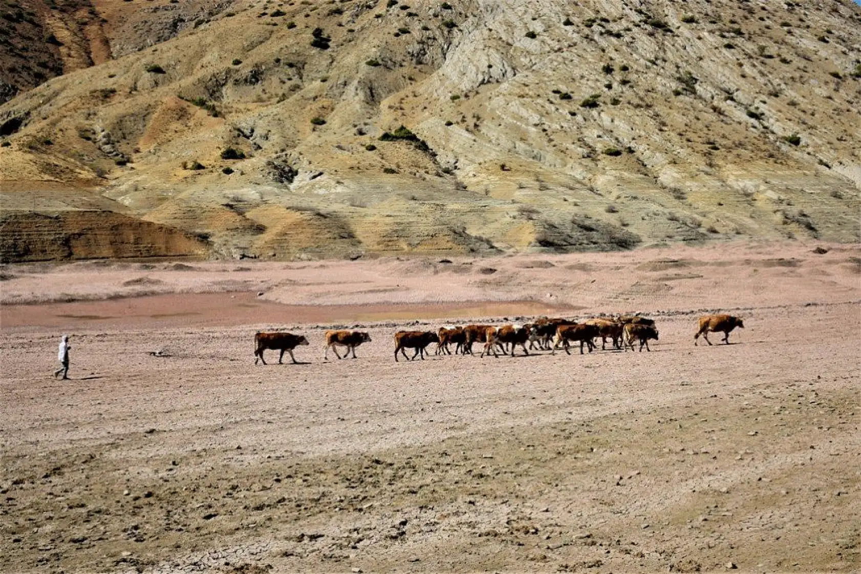 Hamzabey Barajı'nın son hali adeta çölü andırdı