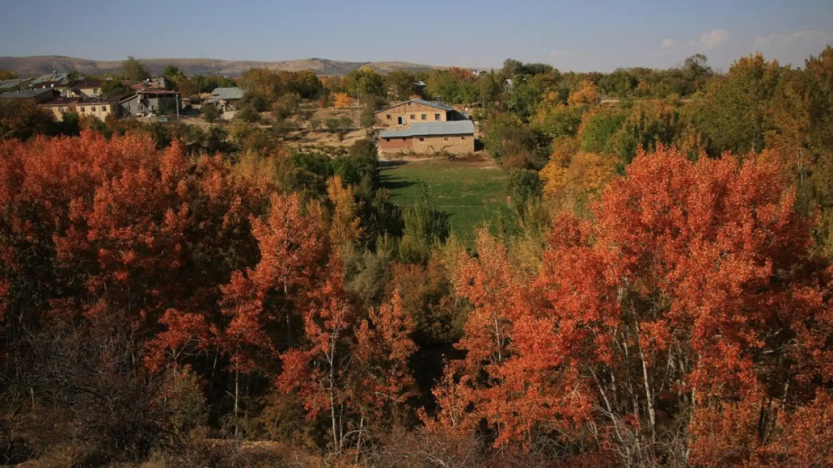 Elazığ'da sonbaharda rengarenk olan ağaçlar havadan görüntülendi