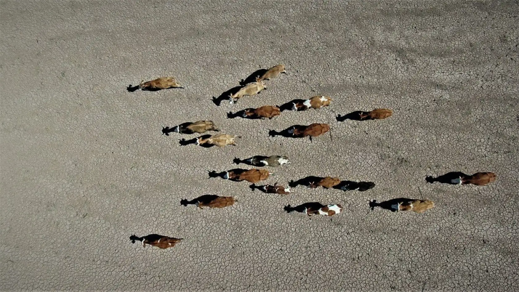 Hamzabey Barajı'nın son hali adeta çölü andırdı