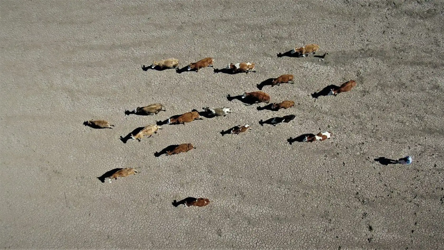 Hamzabey Barajı'nın son hali adeta çölü andırdı