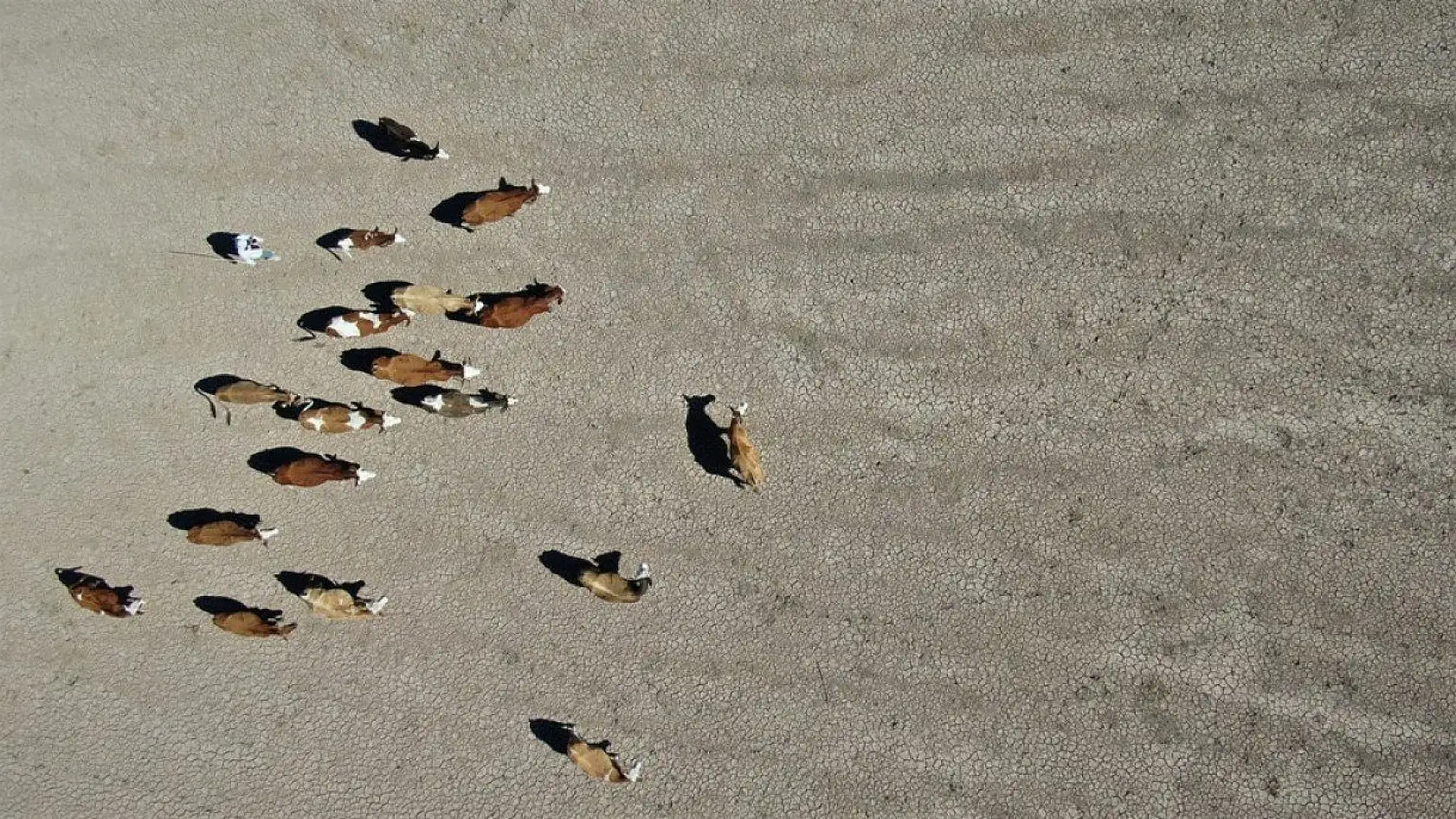 Hamzabey Barajı'nın son hali adeta çölü andırdı