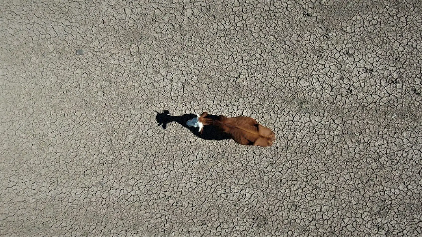 Hamzabey Barajı'nın son hali adeta çölü andırdı