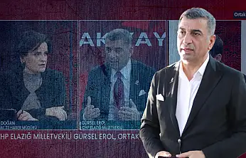 Gürsel Erol: 'Kimse kimseyi elinden tutup bir yere götürmez!'