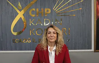 Elazığ'da kadınlardan eşit temsil çağrısı