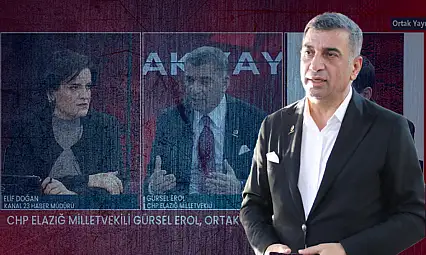 Gürsel Erol: 'Kimse kimseyi elinden tutup bir yere götürmez!'