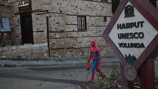 'Örümcek Adam' sokak hayvanlarının kahramanı oldu, görenler şaşkınlığını gizleyemedi