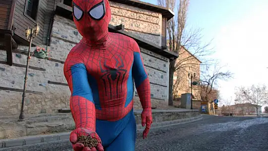 'Örümcek Adam' sokak hayvanlarının kahramanı oldu, görenler şaşkınlığını gizleyemedi