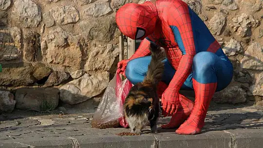 'Örümcek Adam' sokak hayvanlarının kahramanı oldu, görenler şaşkınlığını gizleyemedi