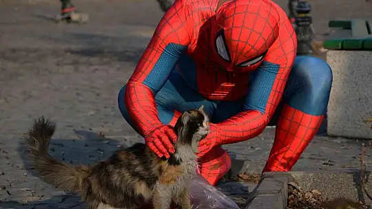 'Örümcek Adam' sokak hayvanlarının kahramanı oldu, görenler şaşkınlığını gizleyemedi
