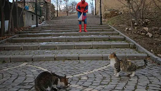 'Örümcek Adam' sokak hayvanlarının kahramanı oldu, görenler şaşkınlığını gizleyemedi