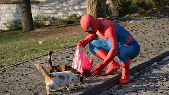 'Örümcek Adam' sokak hayvanlarının kahramanı oldu, görenler şaşkınlığını gizleyemedi