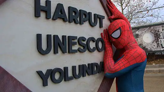 'Örümcek Adam' sokak hayvanlarının kahramanı oldu, görenler şaşkınlığını gizleyemedi